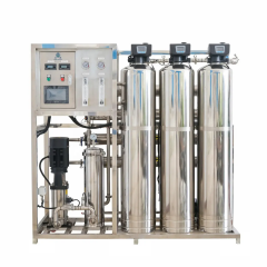 1000 LPH Ro Water System Industrial RO System Manufacturer Reverse Osmosis Equipment RO Water Treatment System